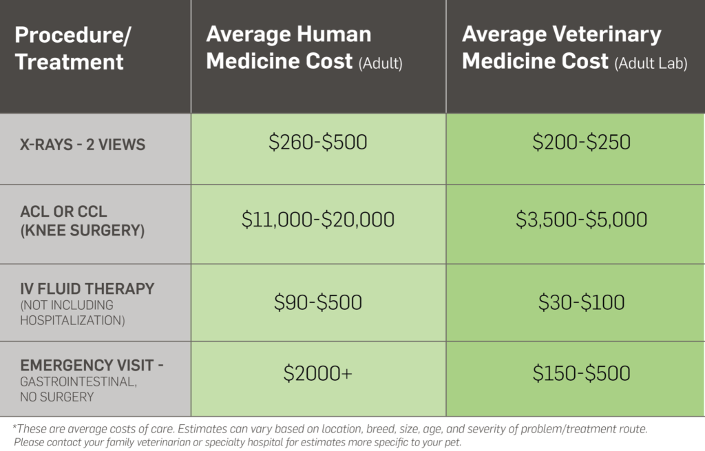 why-are-vets-so-expensive-500-700-for-bird-xray-s-in-california