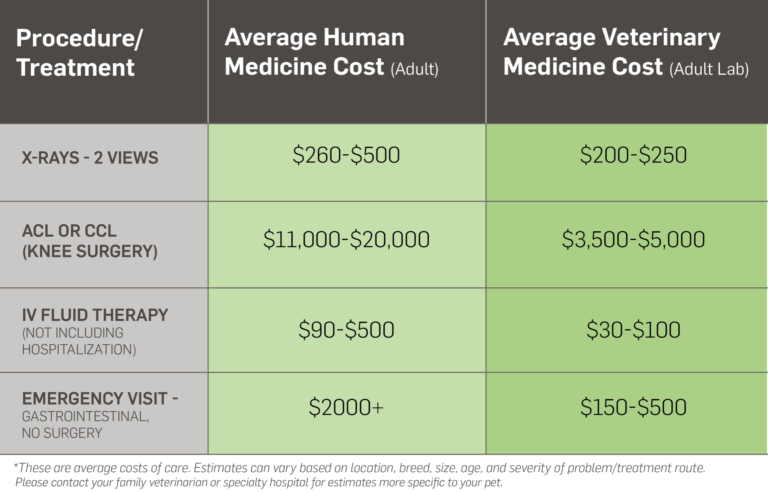 why-are-vets-so-expensive